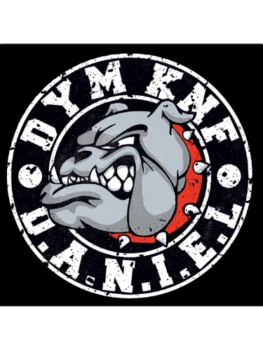 PŁYTA DANIEL DYM KNF - D.A.N.I.E.L. SM_1185 Środowisko Miejskie